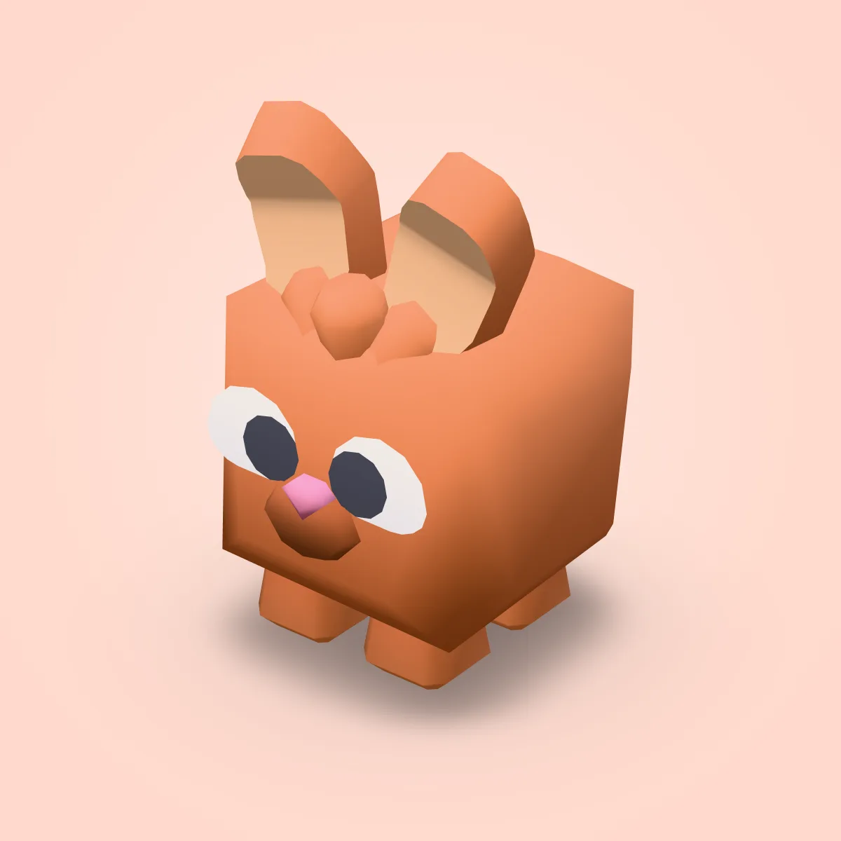 Animal Bunny Model
