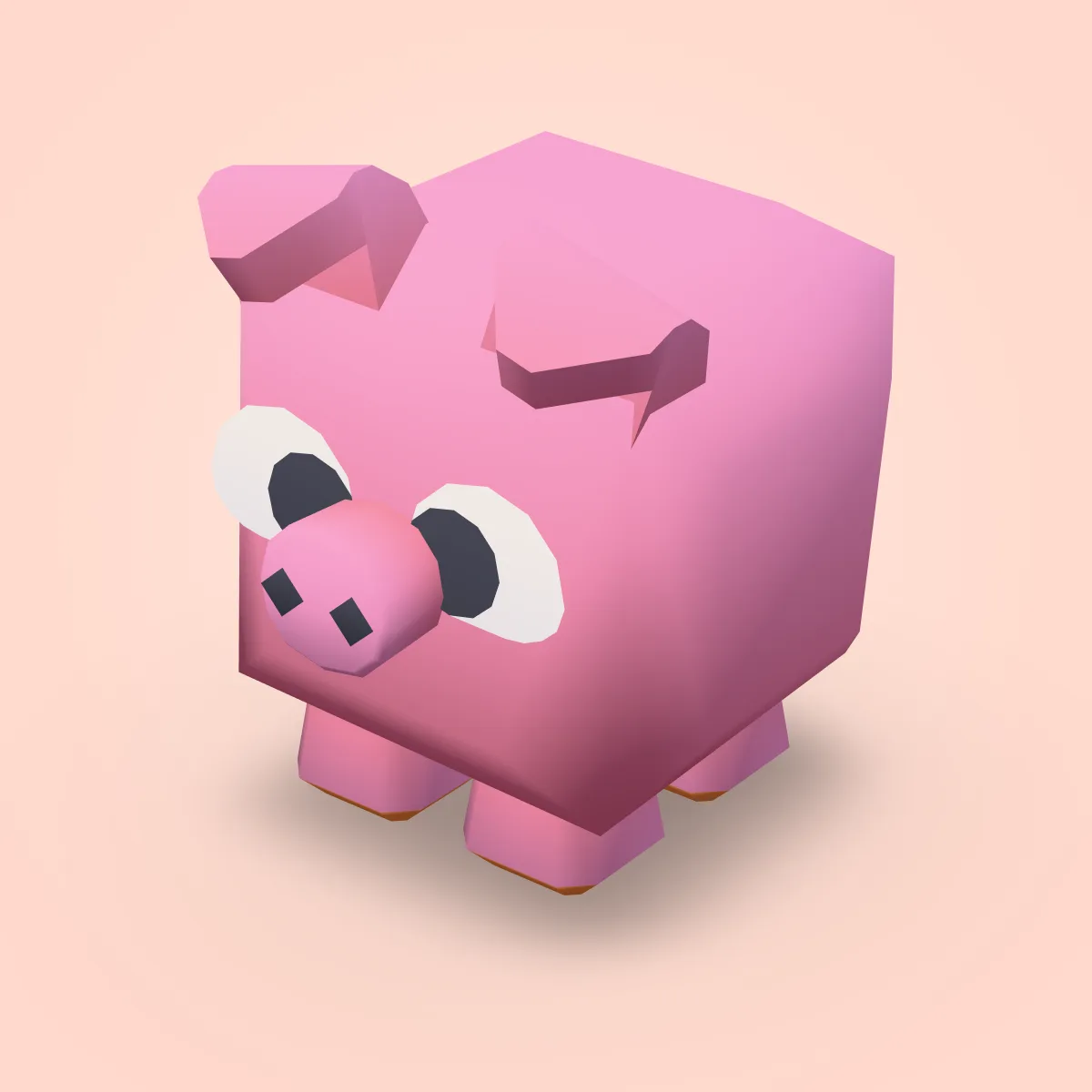Animal Pig Model