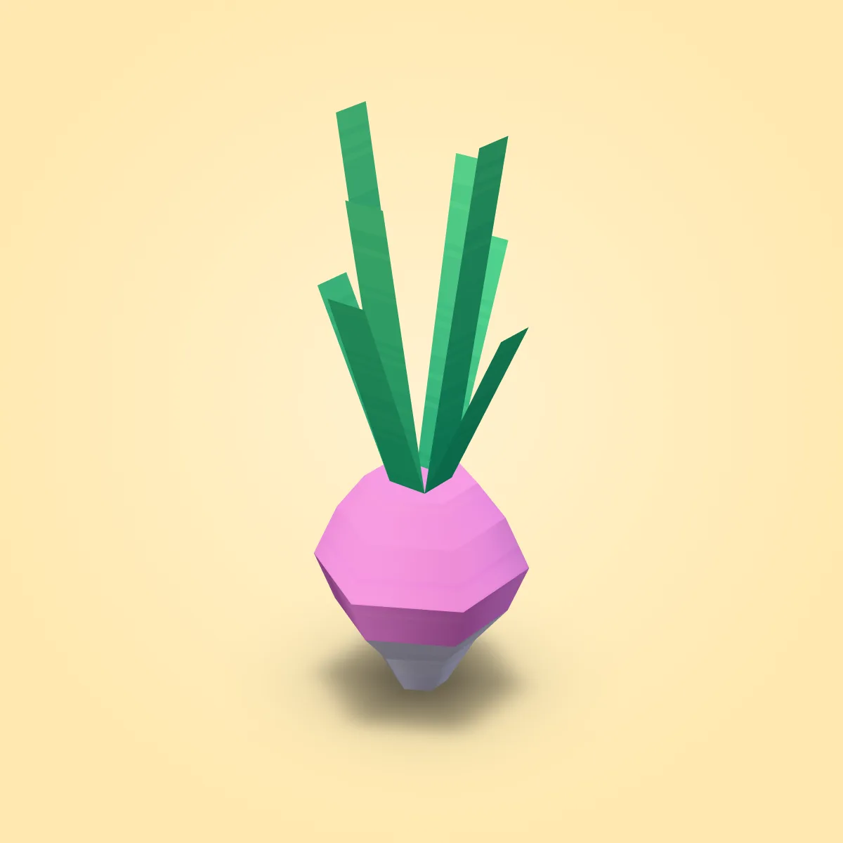 Beet Model