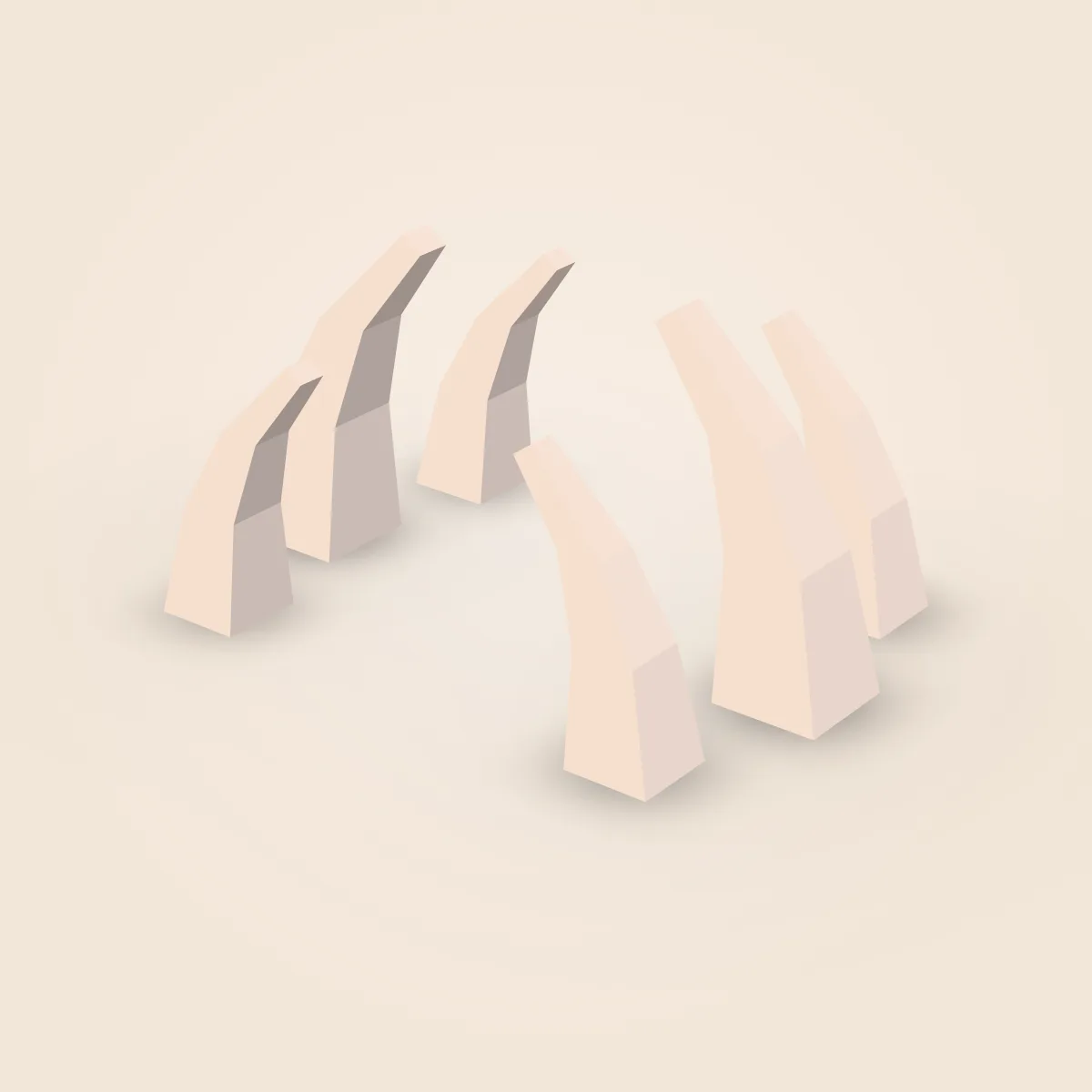 Bones Model