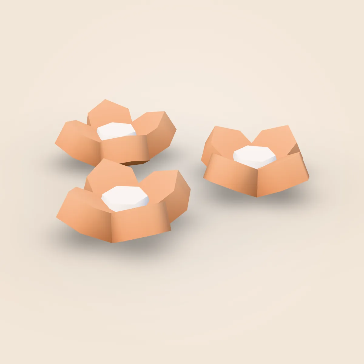 Flowers Set