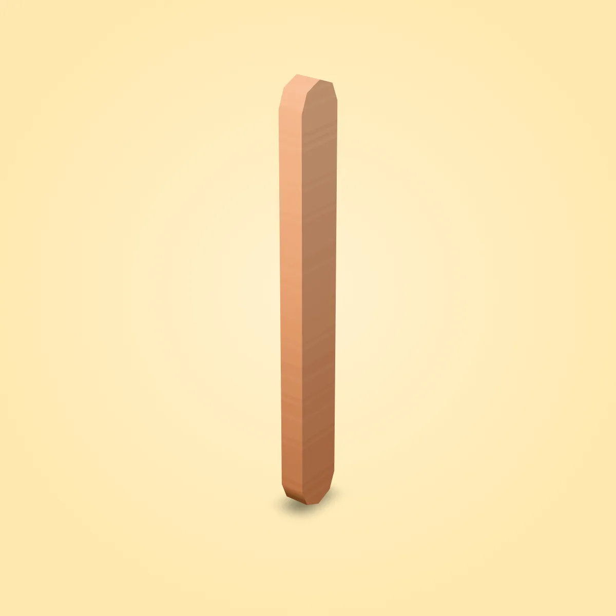 Popsicle Stick Model