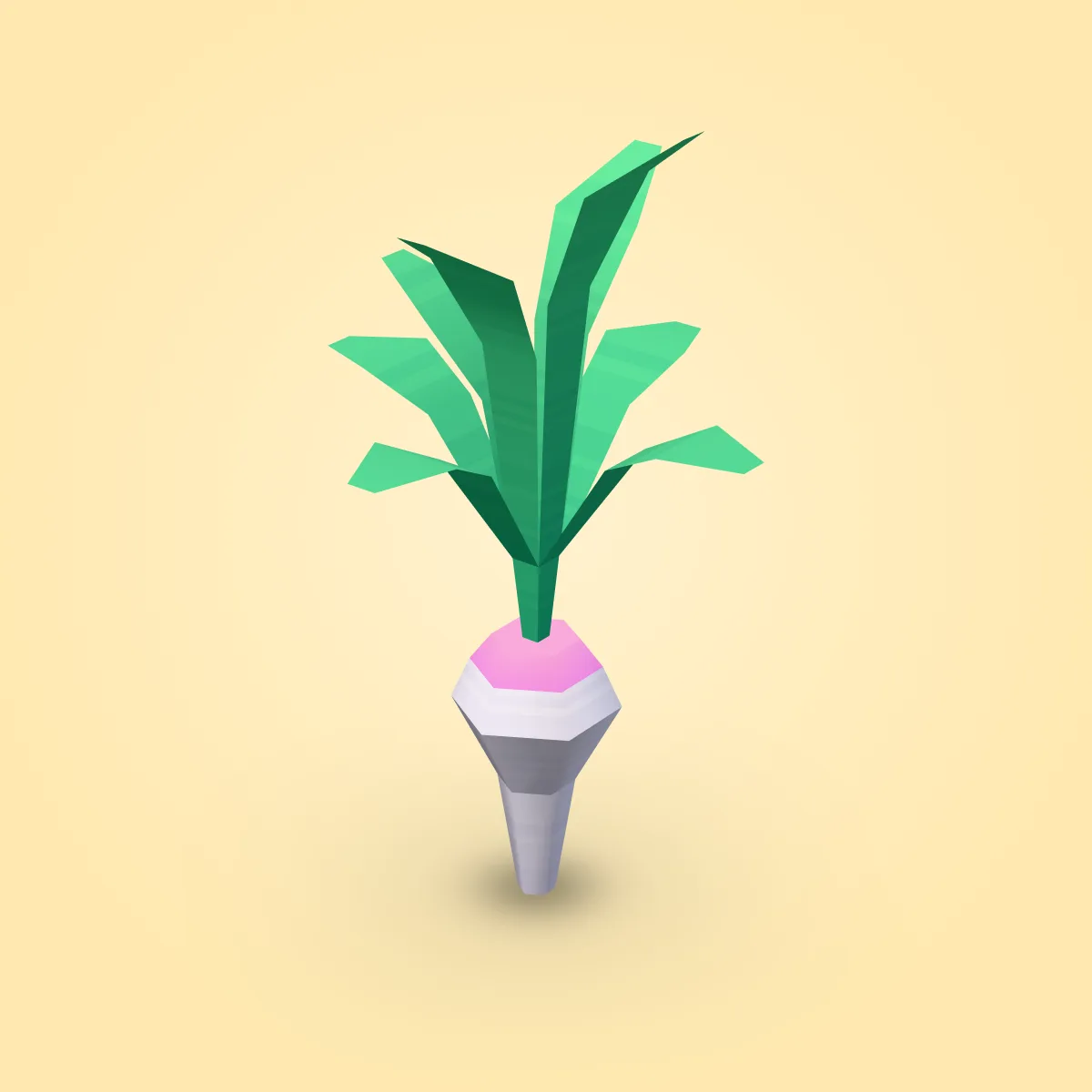 Radish Model