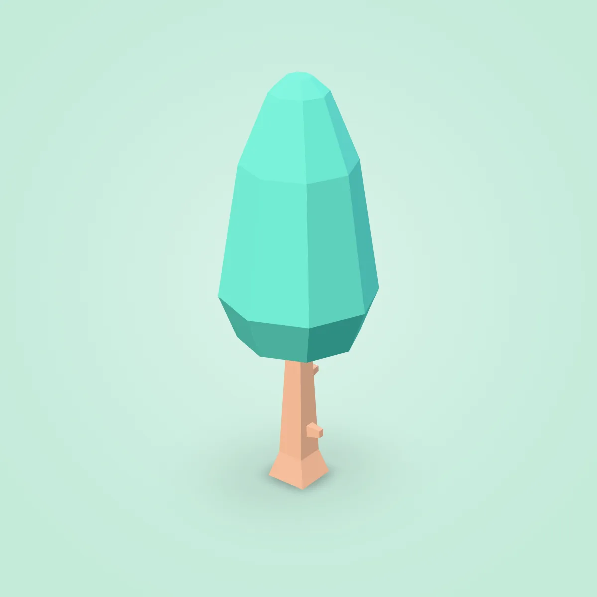 Tree Cone Model