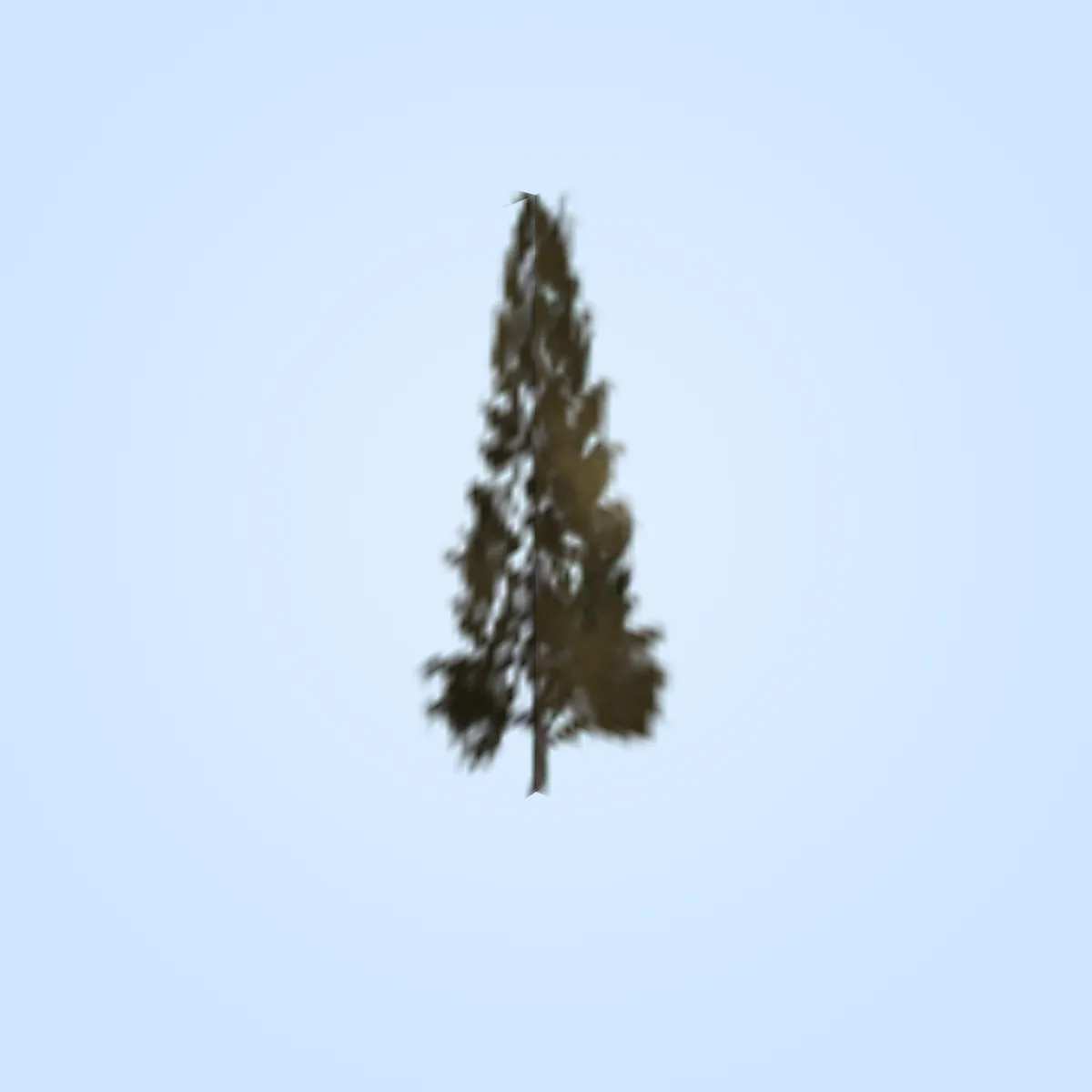 Tree Pine Large Model
